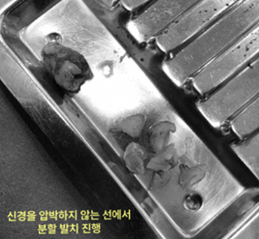 그림6 1