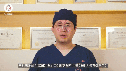치과 의사가 부비동과 상악동의 위치를 설명하는 영상 캡처